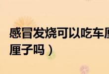 感冒發(fā)燒可以吃車厘子嘛（感冒發(fā)燒可以吃車厘子嗎）