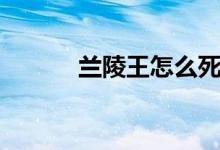 蘭陵王怎么死的（蘭陵王簡(jiǎn)介）