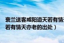 衰蘭送客咸陽(yáng)道天若有情天亦老的意思（衰蘭送客咸陽(yáng)道天若有情天亦老的出處）