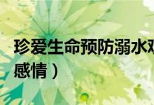 珍愛(ài)生命預(yù)防溺水觀后感（怎么表現(xiàn)出自己的感情）
