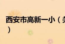 西安市高新一?。P(guān)于西安市高新一小的介紹）