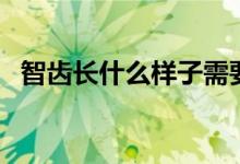 智齒長什么樣子需要拔（智齒長什么樣子）