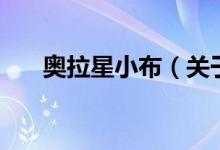 奧拉星小布（關于奧拉星小布的介紹）