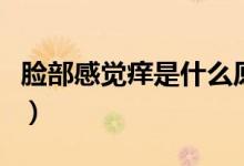 臉部感覺(jué)癢是什么原因（臉部癢癢是怎么回事）