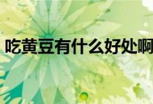 吃黃豆有什么好處啊（吃了黃豆有什么好處）
