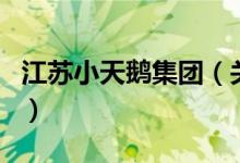 江蘇小天鵝集團（關(guān)于江蘇小天鵝集團的介紹）