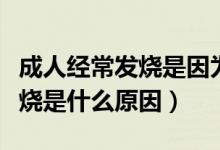 成人經(jīng)常發(fā)燒是因為什么原因呢（成人經(jīng)常發(fā)燒是什么原因）
