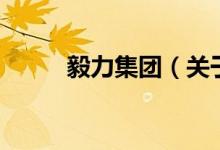 毅力集團（關(guān)于毅力集團的介紹）