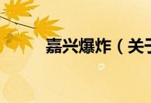 嘉興爆炸（關于嘉興爆炸的介紹）