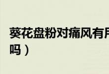 葵花盤粉對(duì)痛風(fēng)有用嗎（葵花盤粉對(duì)痛風(fēng)有效嗎）