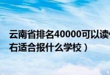 云南省排名40000可以讀什么大學(xué)（云南高考位次80000左右適合報(bào)什么學(xué)校）
