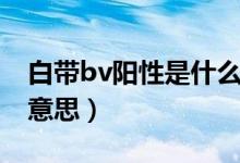 白帶bv陽性是什么意思（白帶bv陽性是什么意思）