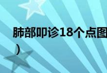 肺部叩診18個點(diǎn)圖（肺部叩診18個點(diǎn)是哪里）