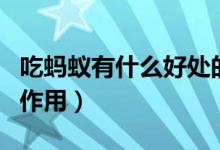 吃螞蟻有什么好處的副作用（吃螞蟻有功效和作用）
