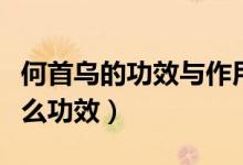 何首烏的功效與作用及食用方法（何首烏有什么功效）