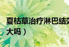 夏枯草治療淋巴結效果（夏枯草治療淋巴結腫大嗎）
