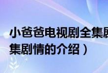 小爸爸電視劇全集劇情（關于小爸爸電視劇全集劇情的介紹）