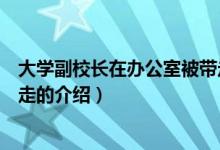 大學(xué)副校長在辦公室被帶走（關(guān)于大學(xué)副校長在辦公室被帶走的介紹）