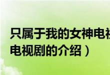 只屬于我的女神電視?。P(guān)于只屬于我的女神電視劇的介紹）