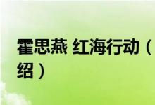 霍思燕 紅海行動（關(guān)于霍思燕 紅海行動的介紹）