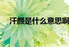 汗顏是什么意思啊（詞語(yǔ)汗顏什么意思）