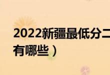 2022新疆最低分二本公辦大學（值得推薦的有哪些）