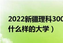 2022新疆理科300多分的公辦大學（可以上什么樣的大學）