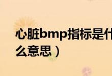 心臟bmp指標是什么?（心臟指標bmp是什么意思）