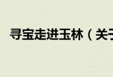 尋寶走進玉林（關(guān)于尋寶走進玉林的介紹）