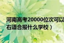 河南高考20000位次可以上大學（河南高考位次220000左右適合報什么學校）