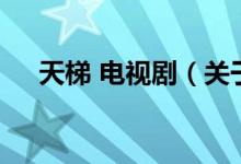 天梯 電視?。P(guān)于天梯 電視劇的介紹）