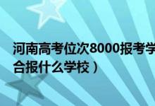 河南高考位次8000報考學校（河南高考位次210000左右適合報什么學校）