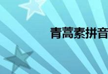 青蒿素拼音（青蒿素價(jià)格）