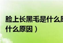 臉上長黑毛是什么原因青春期（臉上長黑毛是什么原因）