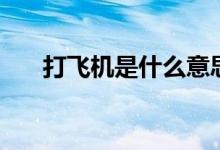 打飛機是什么意思?。ù蝻w機的含義）