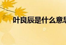 葉良辰是什么意思?。ㄈ~良辰的簡介）