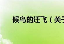 候鳥的遷飛（關(guān)于候鳥的遷飛的介紹）
