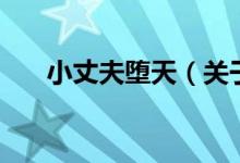 小丈夫墮天（關(guān)于小丈夫墮天的介紹）