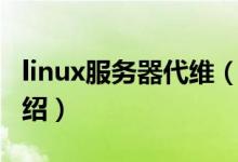 linux服務器代維（關于linux服務器代維的介紹）