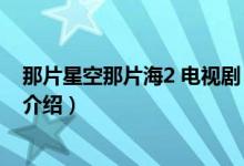 那片星空那片海2 電視劇（關(guān)于那片星空那片海2 電視劇的介紹）