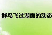 群鳥飛過湖面的動(dòng)態(tài)描寫（這五句寫得很好）
