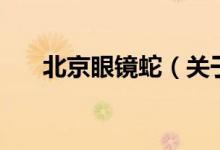 北京眼鏡蛇（關于北京眼鏡蛇的介紹）