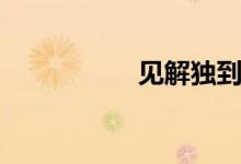 見解獨到(見解獨到)