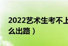 2022藝術生考不上本科能上大專嗎（還有什么出路）
