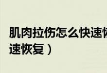 肌肉拉傷怎么快速恢復(fù)胳膊（肌肉拉傷怎么快速恢復(fù)）