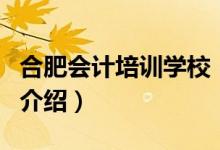 合肥會計培訓(xùn)學(xué)校（關(guān)于合肥會計培訓(xùn)學(xué)校的介紹）