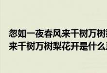 忽如一夜春風來千樹萬樹梨花開是什么季節(jié)(忽如一夜春風來千樹萬樹梨花開是什么意思)