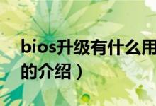bios升級有什么用（關(guān)于bios升級有什么用的介紹）