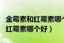 金霉素和紅霉素哪個治烏龜白眼病（金霉素和紅霉素哪個好）