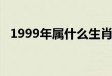 1999年屬什么生肖（1999年生肖的簡(jiǎn)介）